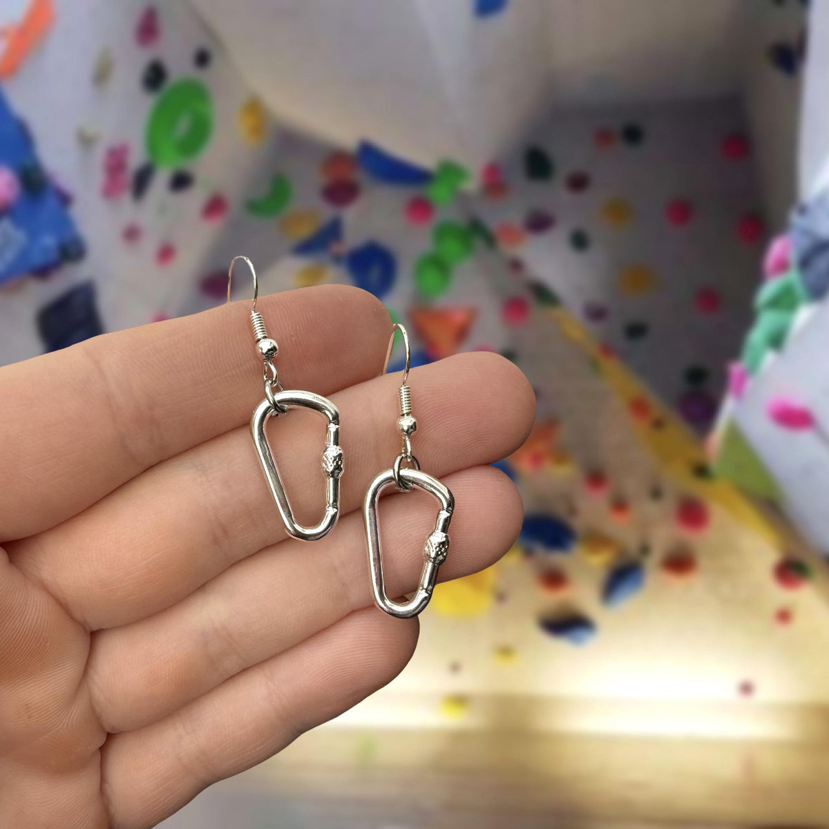 Climbing Carabiner Earrings, Climbing Jewerly, Gift for Climber