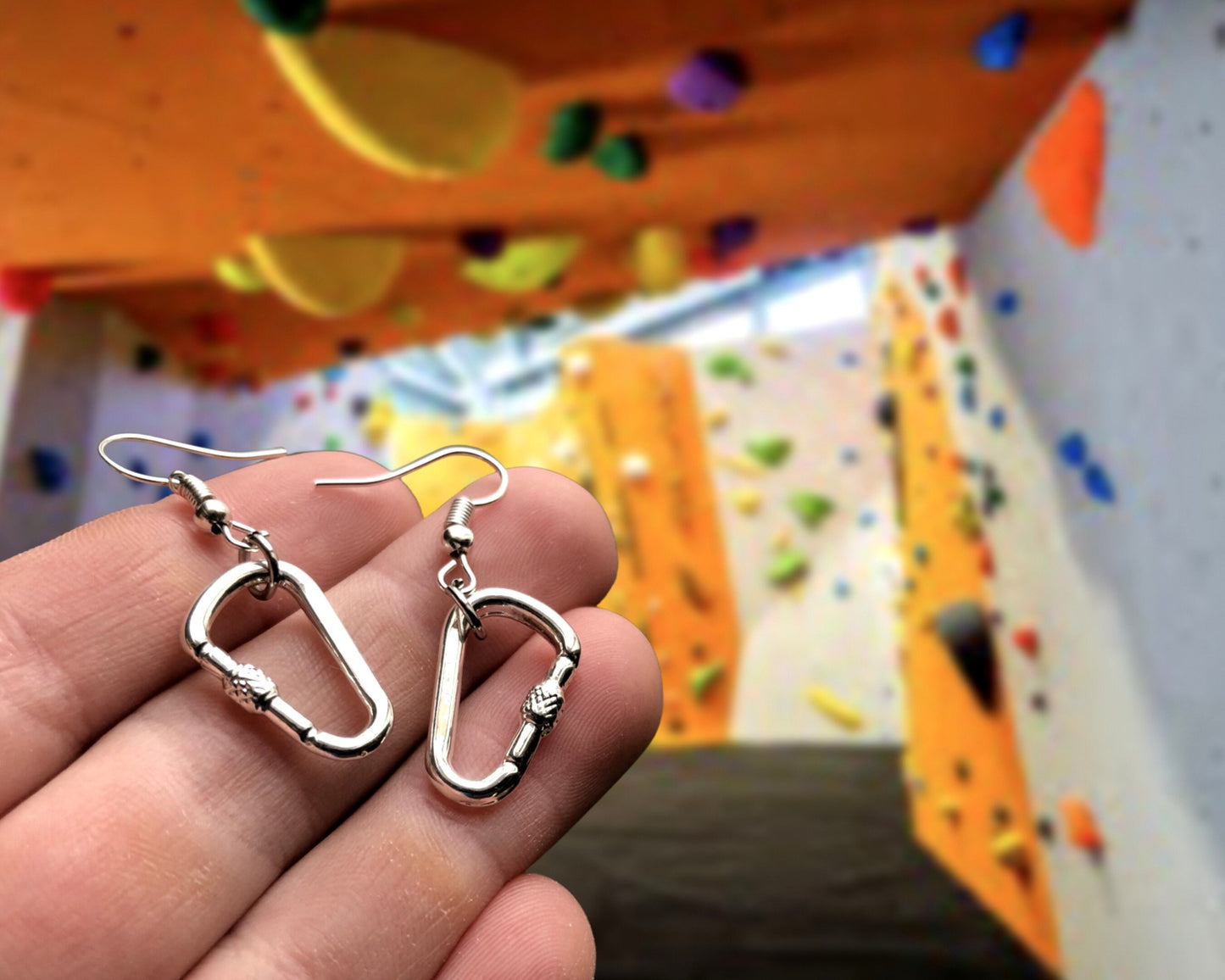 Climbing Carabiner Earrings, Climbing Jewerly, Gift for Climber