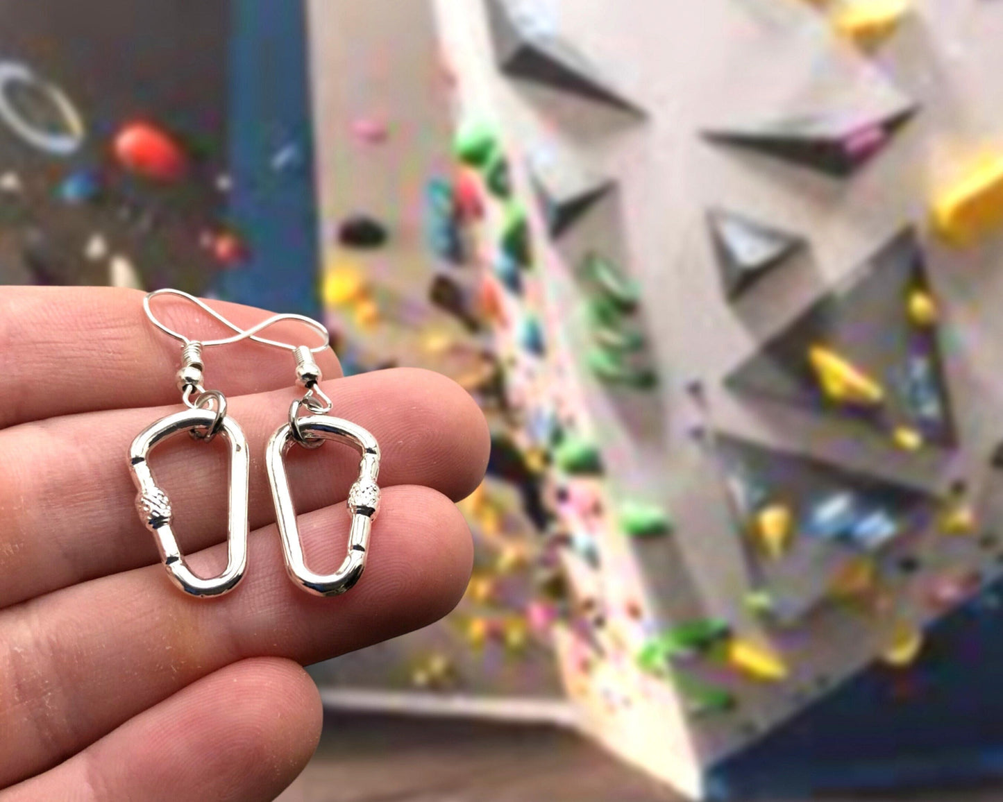 Climbing Carabiner Earrings, Climbing Jewerly, Gift for Climber